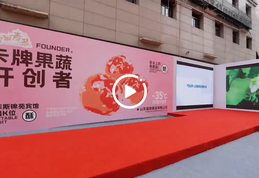 Shandong Chenlang Food Co., Ltd. Is A Modern Integrated Enterprise Specializing in Health-oriented Snack Foods